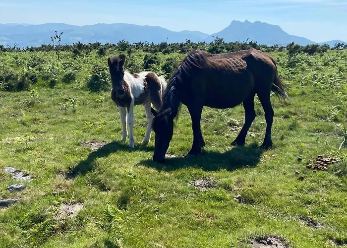 Lägenhet Maison Basque Maiana Anglet